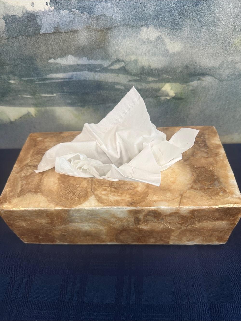 Vintage Palu beige seashell tissue box featuring a smooth, marble look